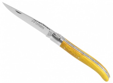 Laguiole traditionnel : 1 mitre inox Couteau Laguiole traditionnel 1 mitre inox : visuel de la gamme
