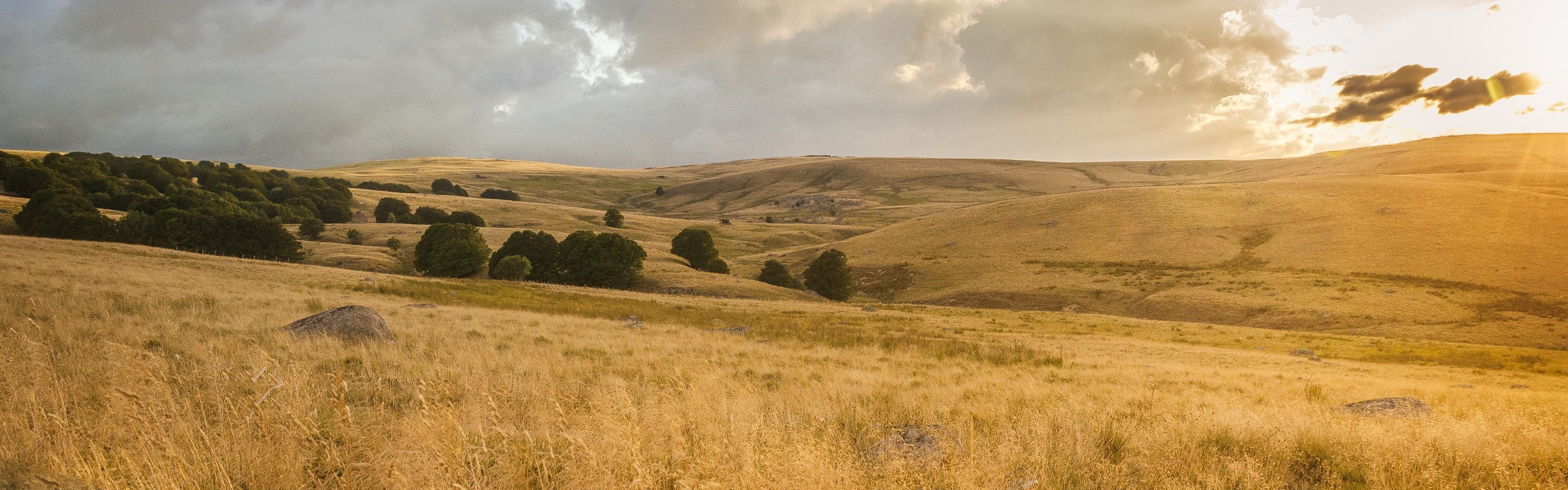 Panoramic view of the Aubrac plateau in France with high-altitude pastures and open volcanic landscapes