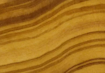 olive_wood.png